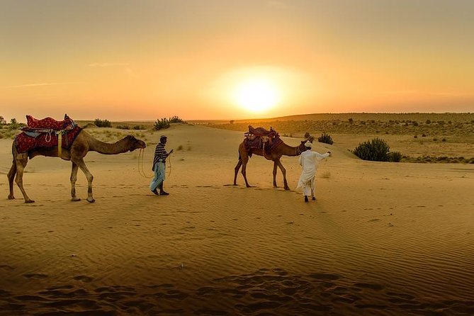 Desert Agafay & Atlas Mountains, Valleys & Waterfalls Tour from Marrakech - Camel ride through Atlas valleys: short, scenic, and memorable