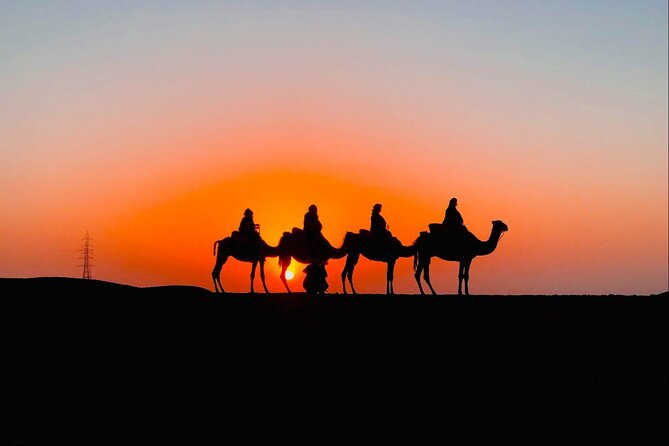 Desert Agafay & Atlas Mountains, Valleys & Waterfalls Tour from Marrakech - Argan women’s cooperative: a shopping stop with a purpose