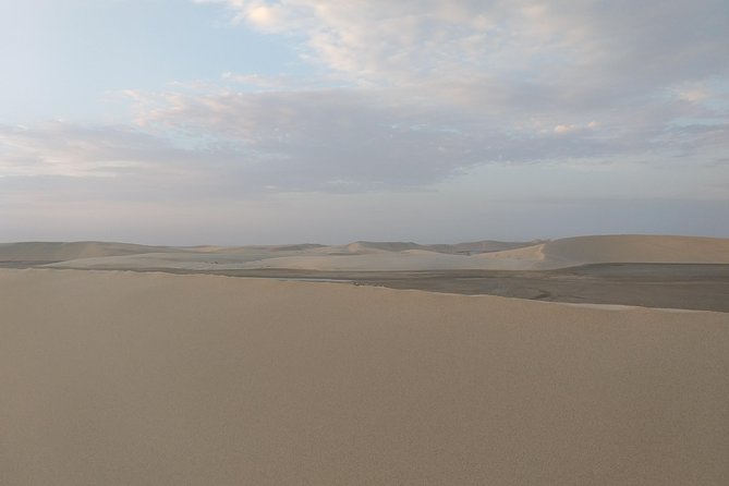 Desert Combo safari, Camel ride, Quad Bike and Dune Bashing(ALL INCLUSIVE) - Price and value: $100 with adrenaline, not dinner