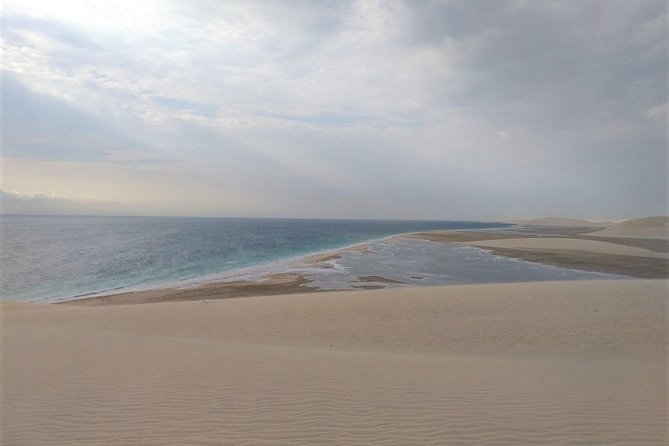 Desert Combo safari, Camel ride, Quad Bike and Dune Bashing(ALL INCLUSIVE) - ATV (quad bike) riding: 30–40 minutes that actually feels like riding