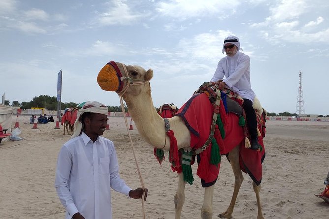 Desert Combo safari, Camel ride, Quad Bike and Dune Bashing(ALL INCLUSIVE) - Dune bashing in a 4x4: the main thrill with a motion-sickness warning
