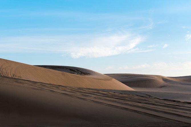 Desert Combo safari, Camel ride, Quad Bike and Dune Bashing(ALL INCLUSIVE) - Terrain + inland sea vibe: why the views matter