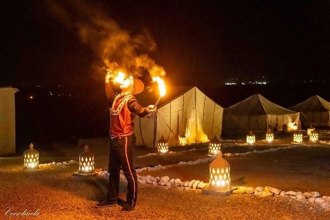Desert D'Agafay Package - Quad, Dromedary and Dinner Show - Key things to know before you go