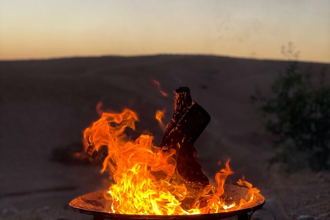 Desert Full Day: Quad, Camel, Dinner & Show or Pool Day and Lunch - Pickup in Marrakech and choosing the right option