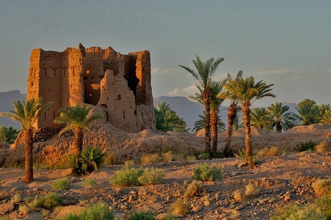 Desert Odyssey: A 2-Day Journey from Marrakech to Zagora - Key Highlights You’ll Actually Feel