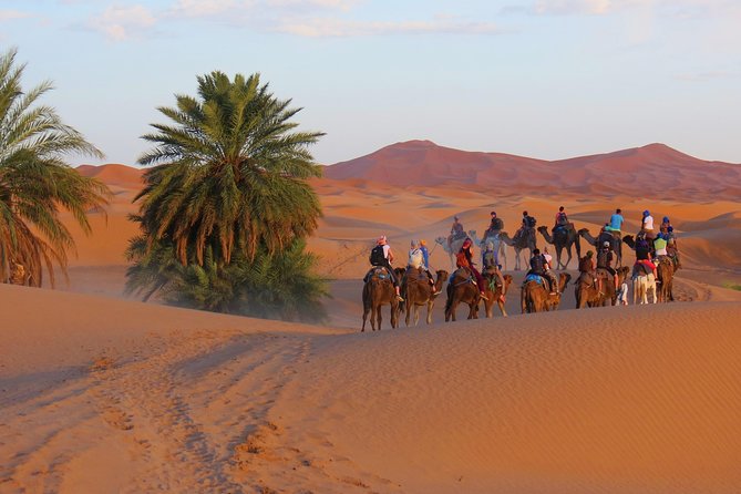 Desert Odyssey: A 2-Day Journey from Marrakech to Zagora - Desert Camp Reality Check: Food, Beds, and Nighttime Atmosphere