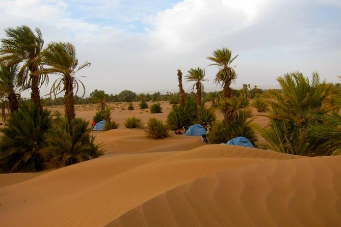 Desert Odyssey: A 2-Day Journey from Marrakech to Zagora - Transportation and Group Size: Shared Doesn’t Have to Mean Chaotic