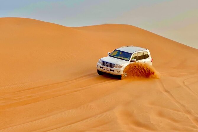 Desert safari adventure with BBQ dinner - Who should book this desert safari, and who should skip it