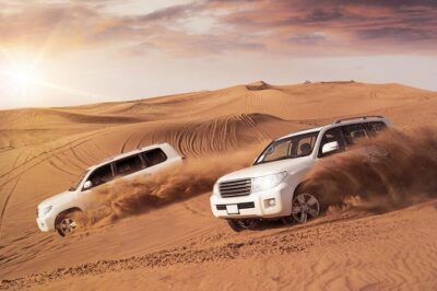 Desert Safari Dubai - 4x4 Dune Bashing and Sunset Stops: The Fun Part, With a Safety Reality Check