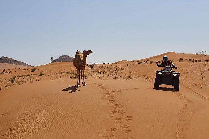 Desert Safari Dubai (PREMIUM VIP) - What’s included vs. what you’ll have to handle yourself