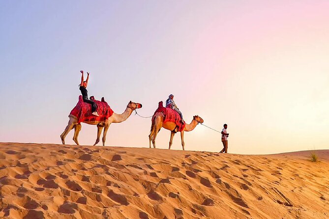 Desert Safari Dubai Sand Bashing, Camel Ride, Shows, Live BBQ - Live BBQ dinner, shisha lounges, and stargazing time