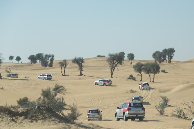 Desert Safari in Dubai with full package - no hidden cost - Campsite Activities: Henna, Camel Rides, and Live Shows