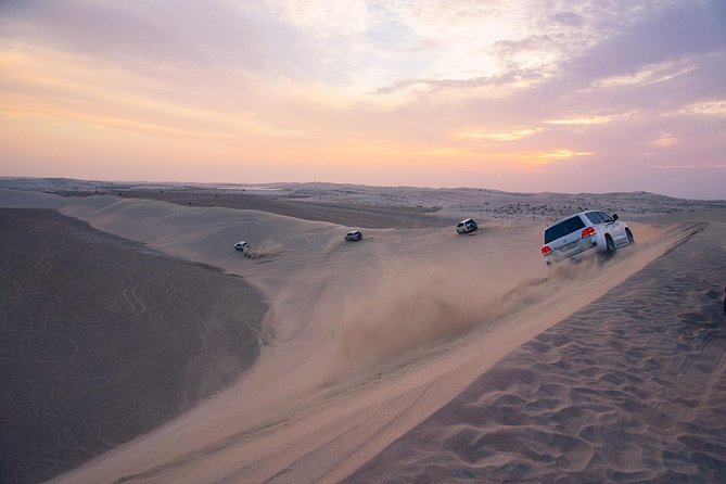 Desert Safari & Keshta | (Private) - Sealine Beach Camel Ranch Stop: Camels, Falcon Photos, and Toilets