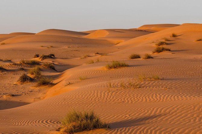 Desert Safari Sharing Tours - Wahiba Sands South of Ibra: Wind-Scaped Dunes You Can Feel
