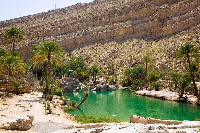 Desert Safari Sharing Tours - Guides Matter: What You’ll Feel in the Back Seat