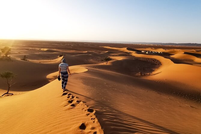 Desert Safari With BBQ Dinner, Quad Ride And And Sand-boarding - Sandboarding, Henna, and the Falcon Photo Moment