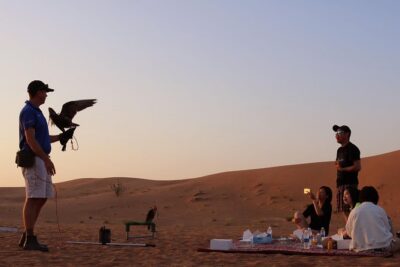 Desert Safari with Entertainment & BBQ Dinner-Heritage Camp - The 2:30 pm pickup and base-camp reset (and why it helps)