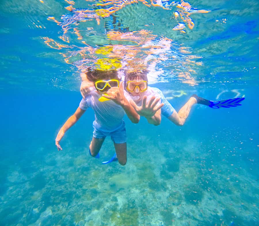 Dhow Adventure to Wasini Island & Kisite Marine Park - Kisite-Mpunguti Marine Park snorkeling: coral reefs, turtles, and dolphin chances
