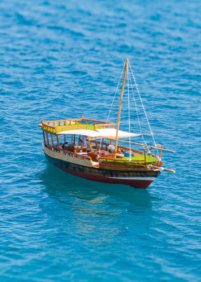 Dhow Adventure to Wasini Island & Kisite Marine Park - Wasini Island lunch and village walk: coral garden plus the Slave Cave stop