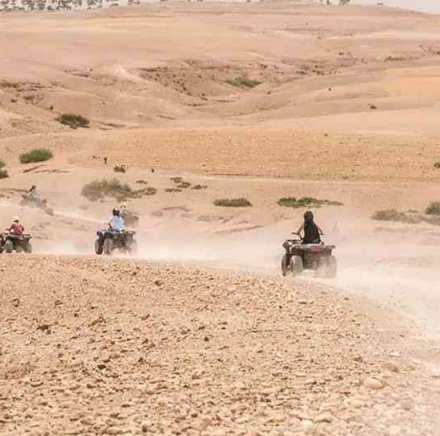 Dinner show in agafay Desert 1h quad bike & 20 min camels - Who This Agafay Quad + Dinner Show Fits Best
