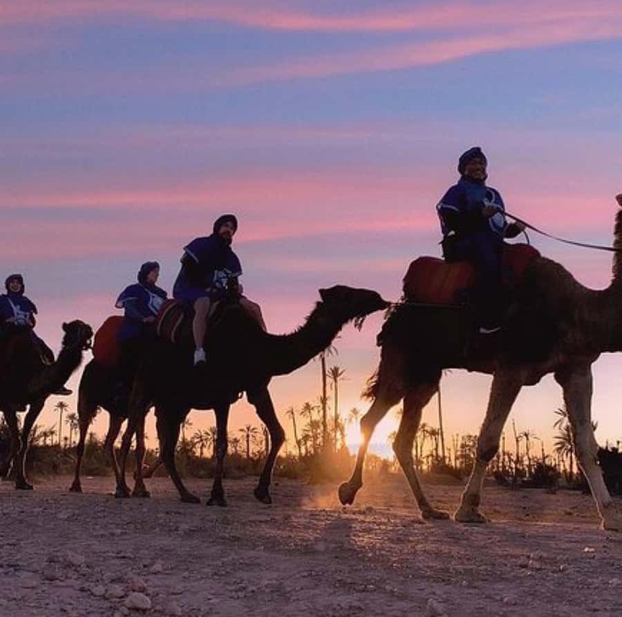 Dinner show in agafay Desert 1h quad bike & 20 min camels - Camel Ride: The Slow Reset After the Quads