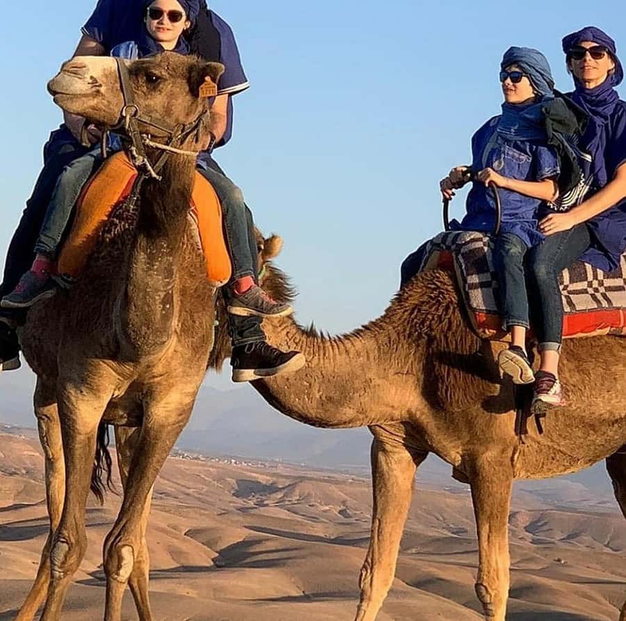 Dinner show in agafay Desert 1h quad bike & 20 min camels - Tea Time and the Argan Oil Stop That Often Becomes a Highlight