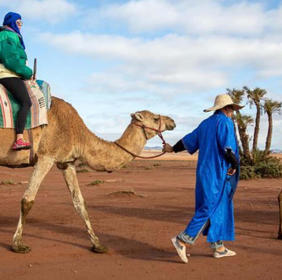 Dinner show in agafay Desert 1h quad bike & 20 min camels - Fire Show and Dancing Under the Stars