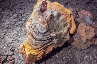 Discovery of the lava tubes 2004 of Piton de la Fournaise - The circuit: 2h30 walking-caving through basalt shapes from 2004