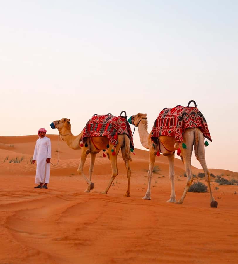 Doha: ATV/Desert Safari with Activities and Inland Sea Stop - Timing and what to wear: small choices that save you discomfort