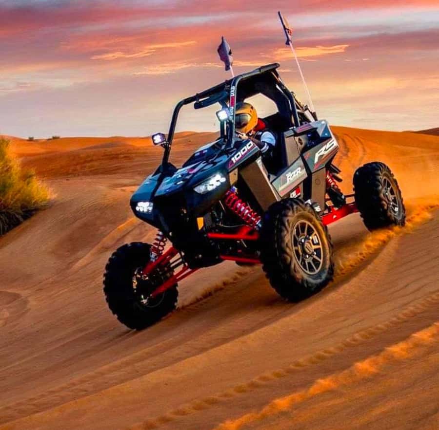 Doha: ATV Quad Bike and Buggy Desert Safari with Camel Ride - Key takeaways before you go