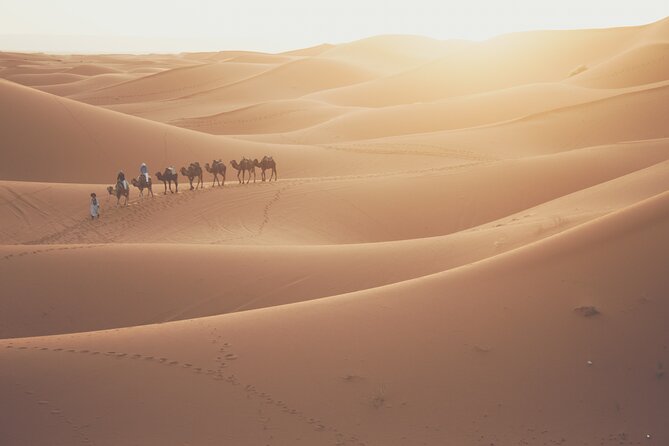 Doha Desert Adventure, Sandboarding, Dune Bashing,Inland Sea Tour - Sealine Beach and the Inland Sea: Qatar’s Big View Moment