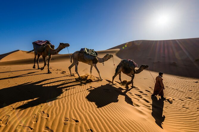 Doha Desert Excursion Dune Bashing Sandboarding Camel Ride - Sandboarding and camel ride: the two easy add-ons