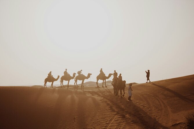 Doha Desert Excursion Dune Bashing Sandboarding Camel Ride - Inland Sea Beach: another look at the desert-water blend