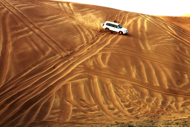 Doha Desert Safari Dune Bashing Camel Ride Sandboarding - Camel Ride: Nice Add-On, Extra Cost, Easy to Plan