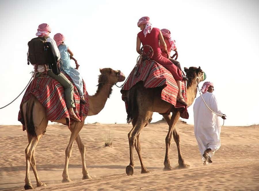 Doha: Desert Safari Dune Bashing, Sandboarding, & Camel Ride - Key highlights at a glance