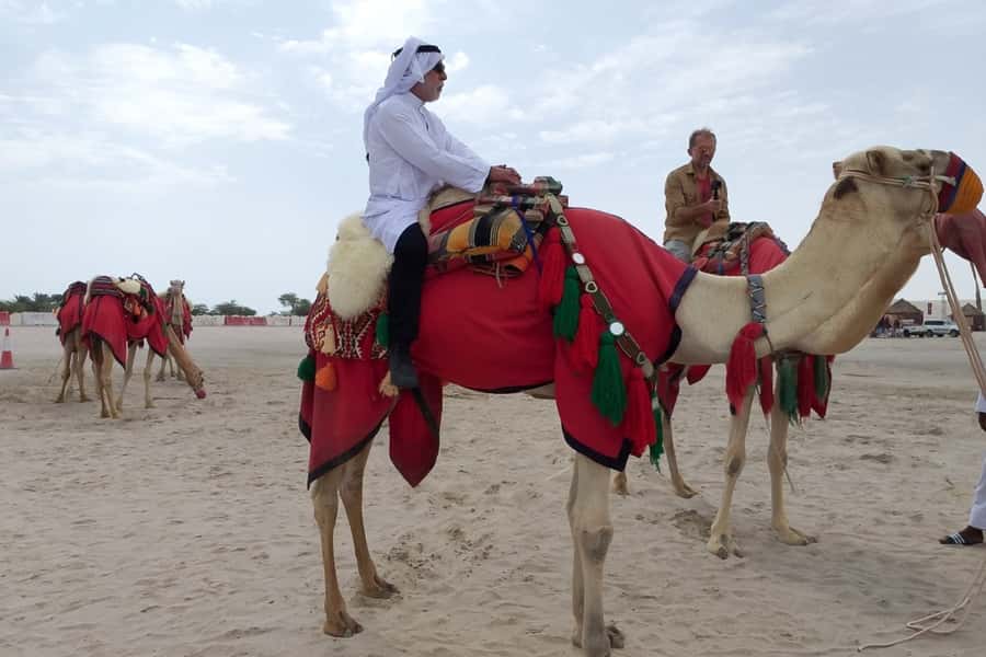 Doha: Desert Safari Dune Bashing, Sandboarding, & Camel Ride - Price and value: is $30 really enough?
