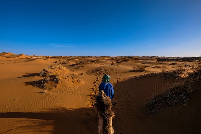 Doha Desert Safari Dune bashing,Sandboarding,CamelRide,Inland Sea - Bedouin-style moments: camels, falcons, and what to confirm