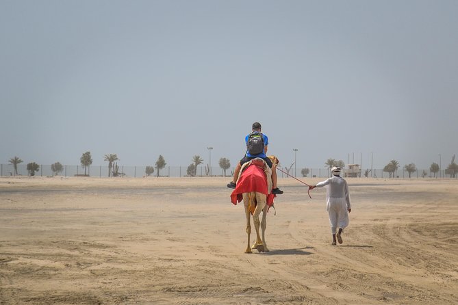 Doha Desert Safari: Dunebashing, Camel, Sandboarding & Inland Sea - From National Museum to the Desert: How the day flows