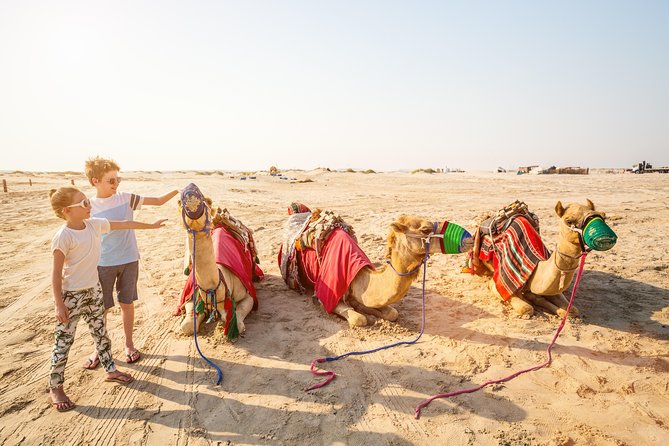 Doha Desert Safari: Dunebashing, Camel, Sandboarding & Inland Sea - Sandboarding vs sand surfing: boards, shoes, and the climb back