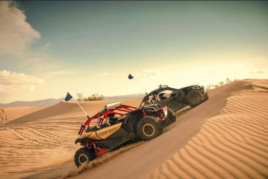 Doha: Desert Safari, Quad Bike, Camel Ride & Inland Sea Tour - Camel ride and camp-style pauses in the desert