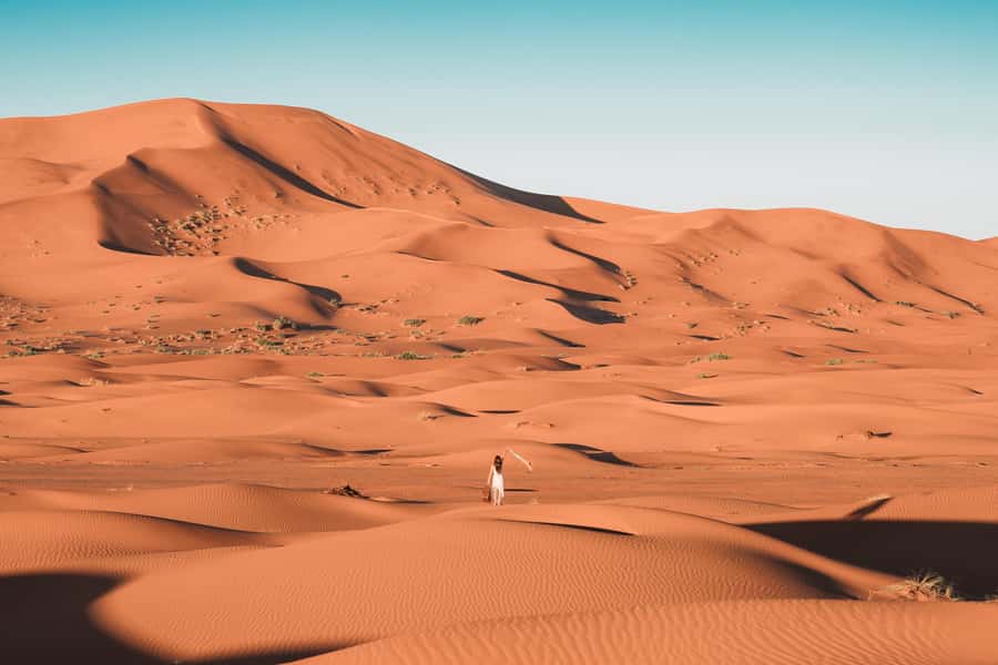 Doha: Desert Safari with Quad Bike, Sandboard & Camel Ride - Dune Bashing in a 4WD Toyota: Where Adrenaline Meets Skill