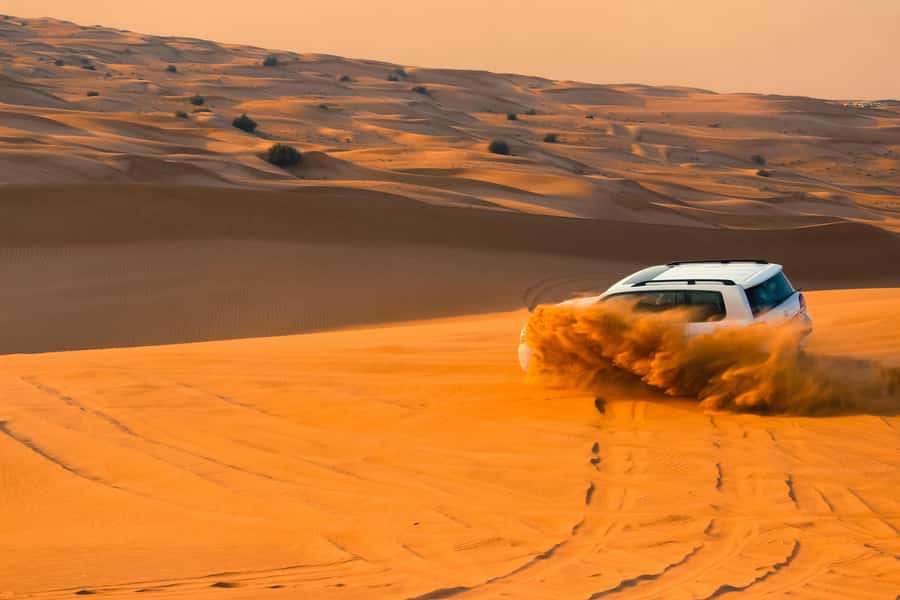 Doha: Desert Safari with Quad Bike, Sandboard & Camel Ride - Camel Ride Option and Falcon Encounters: Short, Memorable, and Different