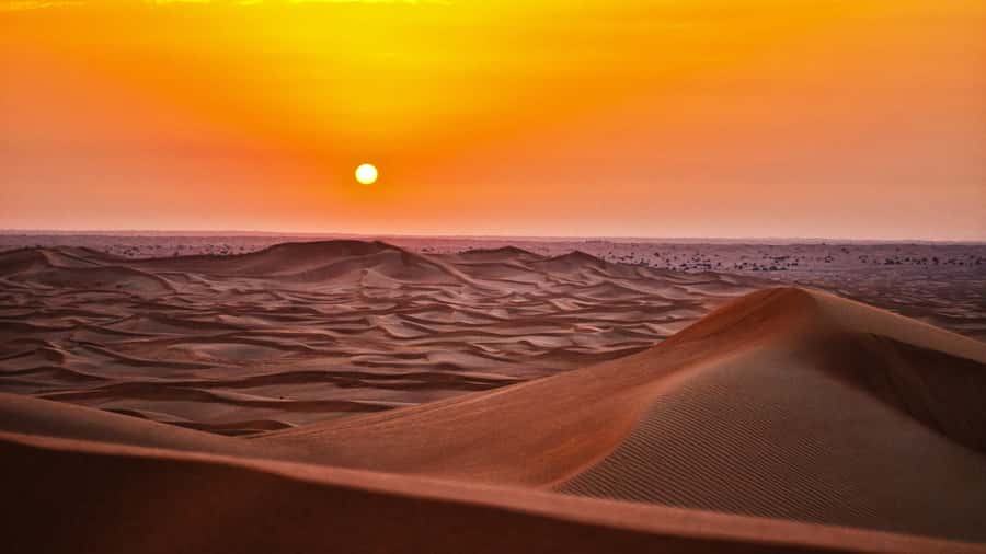 Doha: Dune Bashing Safari, Falcon, Camel, ATV, Sandboarding - Key things you’ll notice on this Qatar desert safari