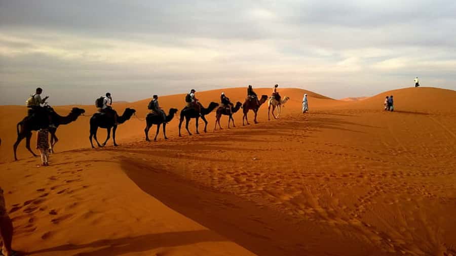 Doha: Dune Bashing Safari, Falcon, Camel, ATV, Sandboarding - Comfort, safety, and who should skip this safari