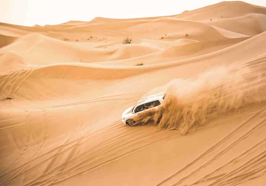 Doha: Half-Day Desert Safari, Quad Bike, Camels & Inland Sea - Doha to the desert: how the half-day format feels on the ground