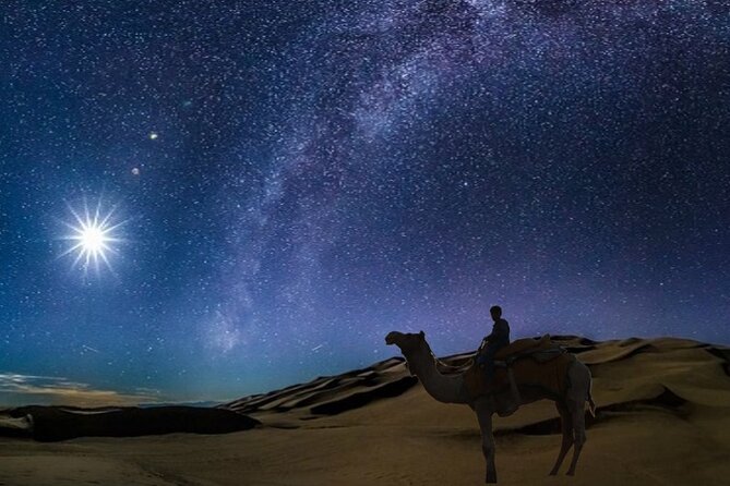 Doha Night Desert Safari Camel Ride Dune Bashing with Transfer - Pickup, 4x4 transfer, and those refinery flame views