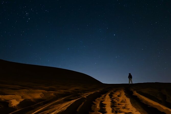 Doha Night Desert Safari Camel Ride Dune Bashing with Transfer - Optional BBQ: food value and the vibe check