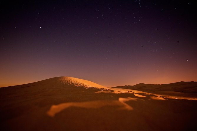 Doha Night Desert Safari Camel Ride Dune Bashing with Transfer - Who this safari is best for (and who should rethink it)
