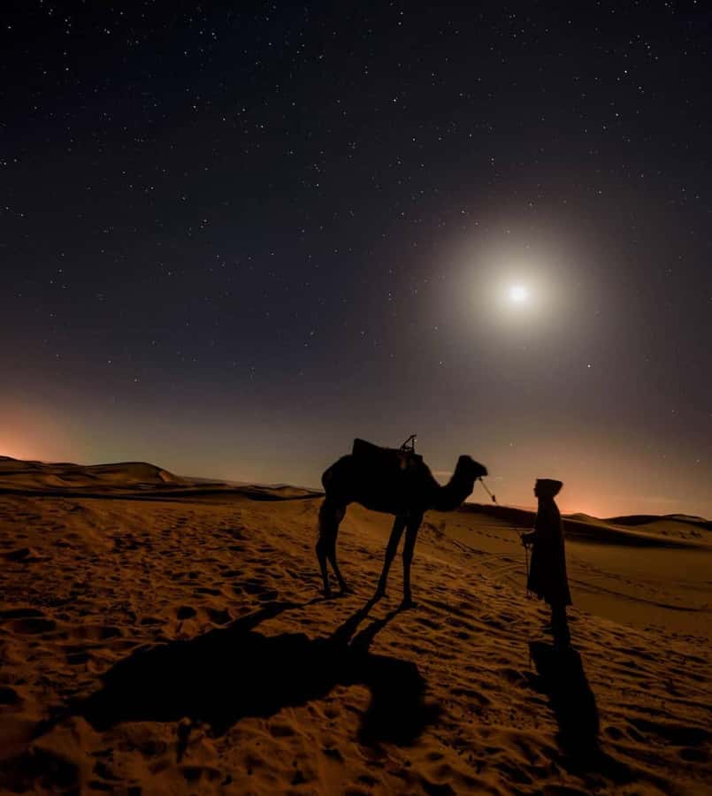 Doha Night Desert Safari Stargazing And Camel Ride - Price and Value: What $24 Buys You in the Desert