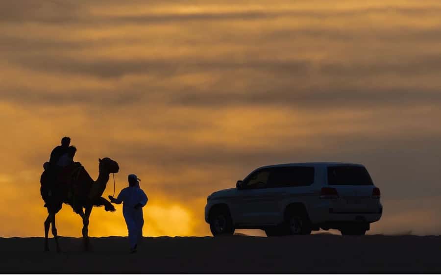 Doha Night Desert Safari Stargazing And Camel Ride - Who Should Book This Safari (and Who Should Skip It)